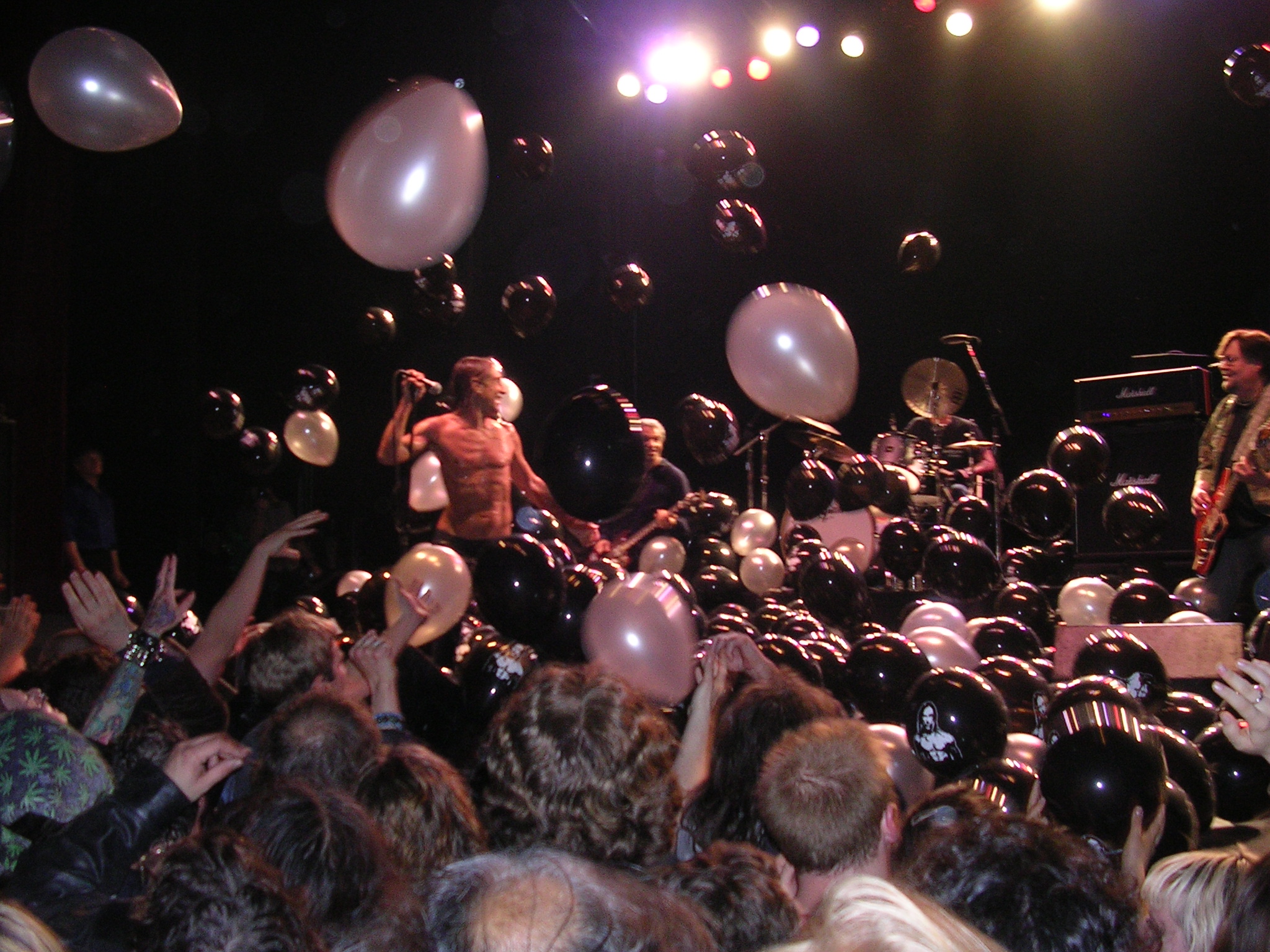 iggy's 60th birthday